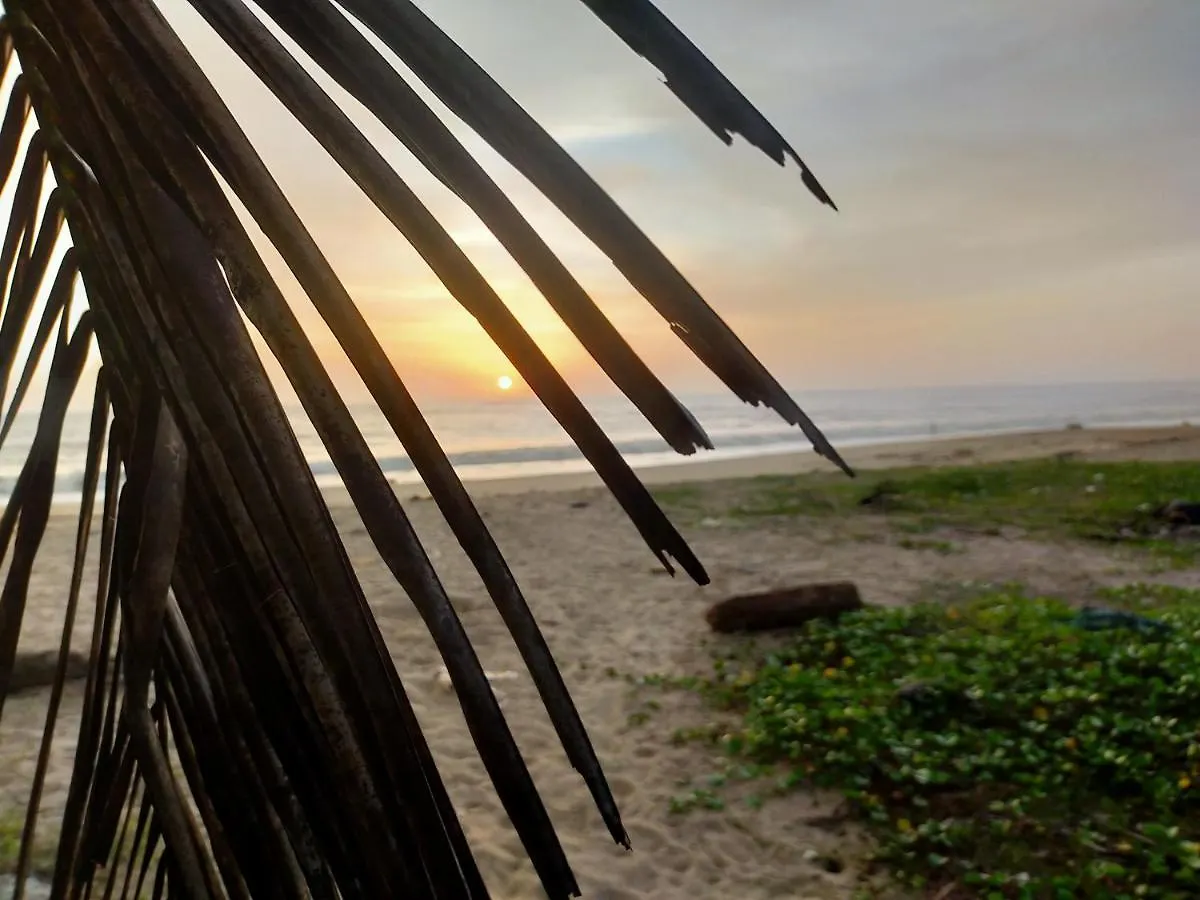 Marari Blessing Beach Front Homestay 马拉利库兰